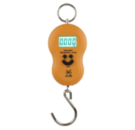 Hanging Scale
